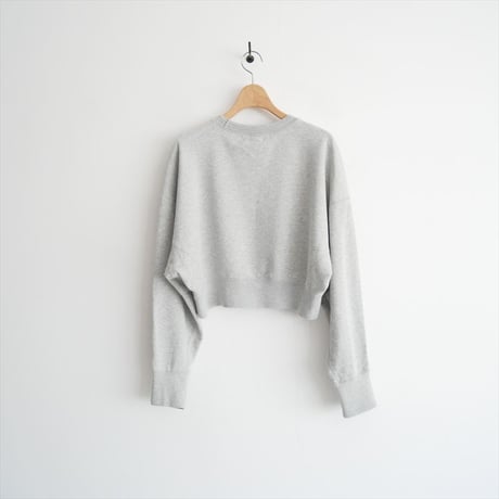 継続販売品 / anuke / Raglan Sleeve Sweat / 62420699 / 2511-1195