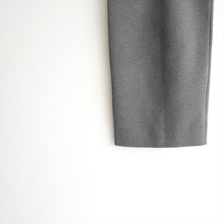 〇2024AW・人気完売品 / DEUXIEME CLASSE / Dan タイト スカート / 24060500802030 / 2510-1304