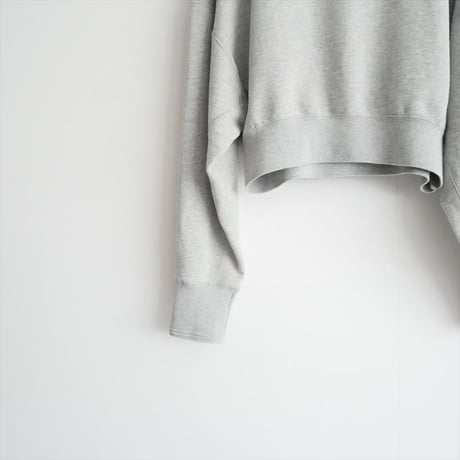 継続販売品 / anuke / Raglan Sleeve Sweat / 62420699 / 2511-1195