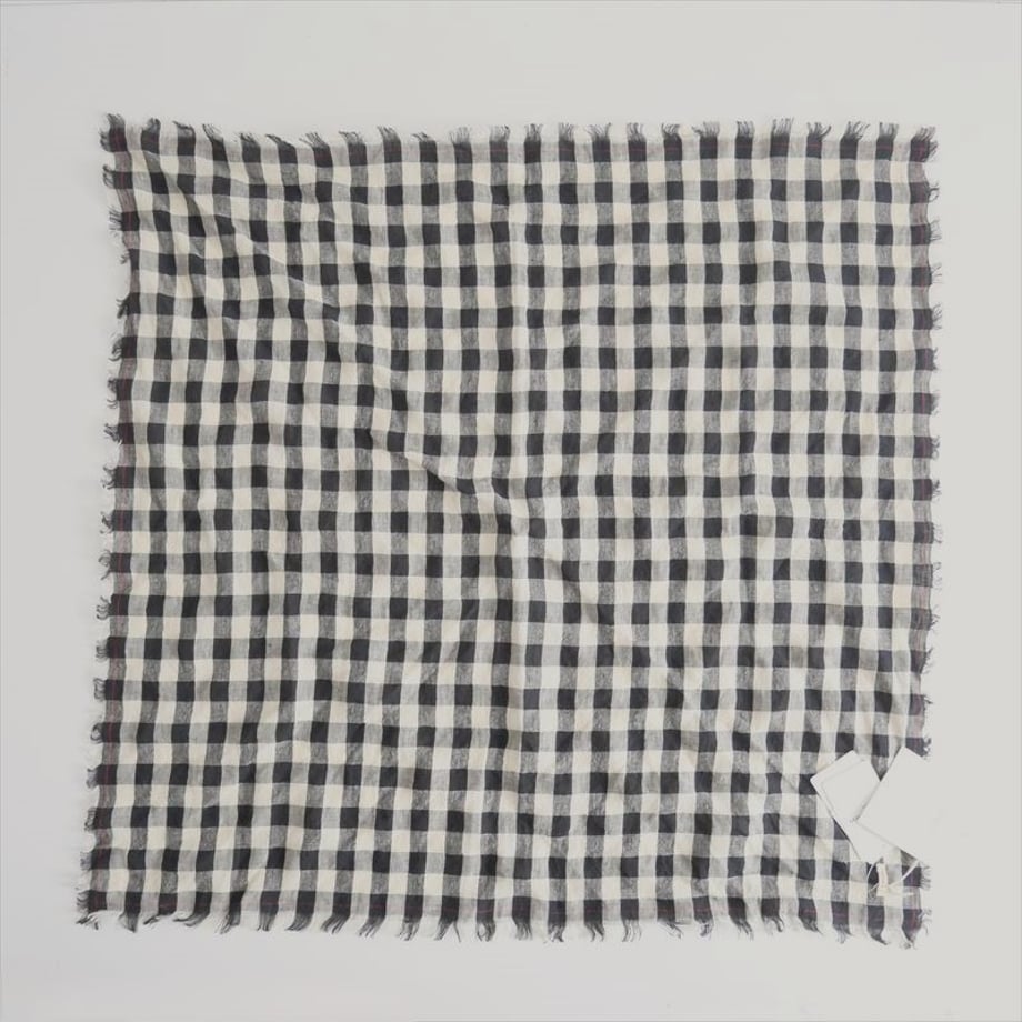 66b1769c0e072903cb649692