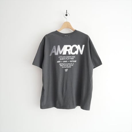 2025SS・人気完売品 / 未使用 / SALON adam et rope購入品 / Americana ラフィー丸胴 プリントT SBM55120 / 2605-1137