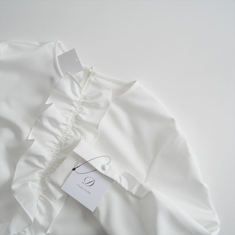 2024SS今季 / 未使用 / maison de Dolce. / フリルフレアブラウス