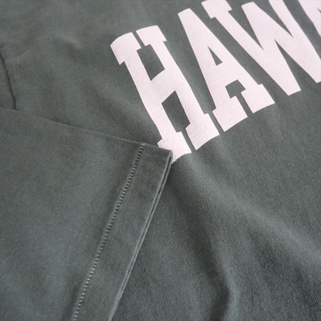 2024AW / 未使用 / L'Appartement別注 / GOOD ROCK SPEED / HAWAII LONG SLEEVE TEE (GREEN) / 2505-0303