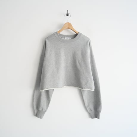 2023 / DEUXIEME CLASSE / Cropped スウェット プルオーバー / 23070500802030 / 2403-0390
