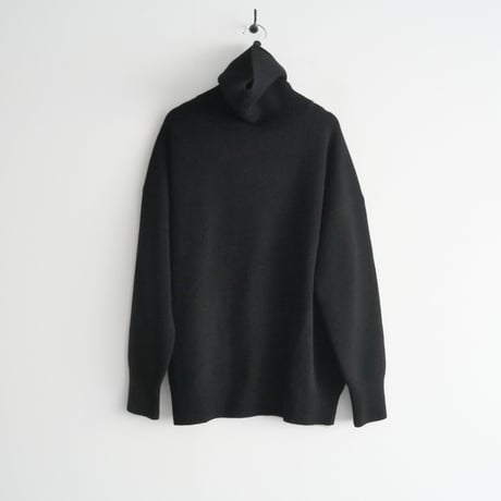 2022AW / DEUXIEME CLASSE / latest ミドルゲージ タートルネック / 22080500708030 / 2401-0700