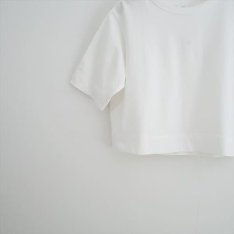 2025・人気完売色 / IENA / クロップドTシャツ / 25070900057030 / 2510-0370