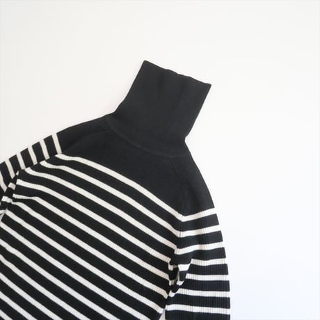 2022AW / 未使用 / L'Appartement / Border Turtleneck Knit / 22080560203730 / 2503-0845