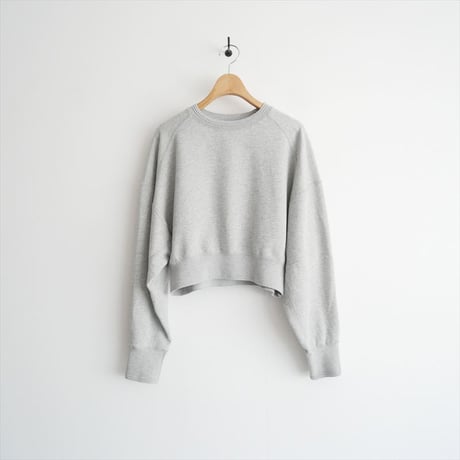 継続販売品 / anuke / Raglan Sleeve Sweat / 62420699 / 2511-1195