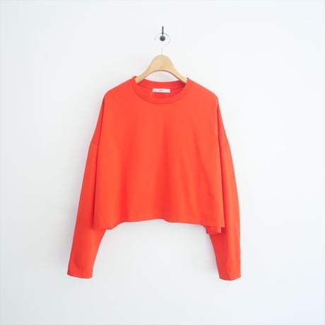 2024AW・人気完売品 / LOHEN / Voxy line cropped T shirt / LH24A-GU076 / 2508-0864