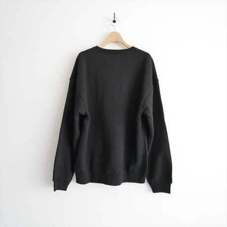 2025AW今季 / 未使用 / Pilgrim Surf+Supply / Poets and Artists Crew / 36-13-0283-120 / 2512-0222