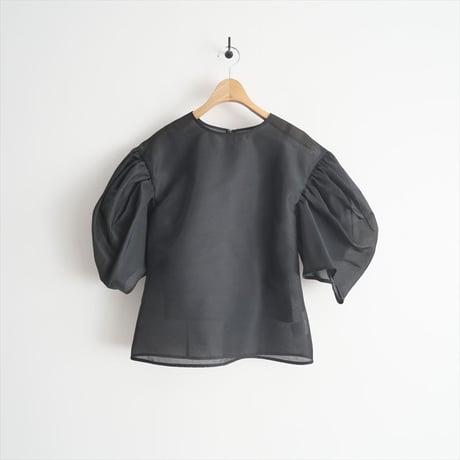 未使用 / cygne / バックパフスリーブシースルートップス Nadine / CY2422-01-084 / 2501-0643
