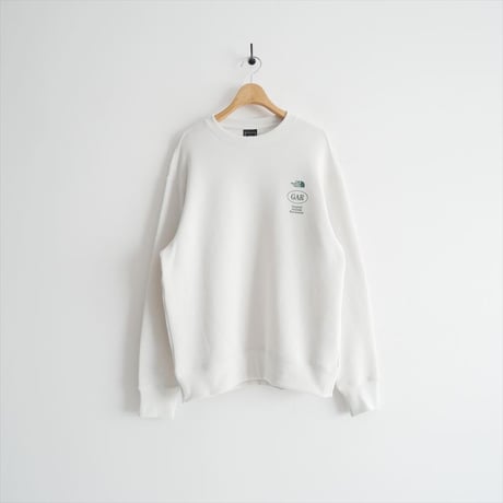 2026SS今季新作・人気完売サイズ / THE NORTH FACE / GARスウェットクルー / NT12666 / 2603-1181