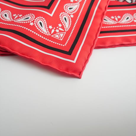 2022SS / 未使用 / 名古屋栄三越購入品 / HERMES / カレ55 LES RUBANS DU CHEVAL / 2400-0161