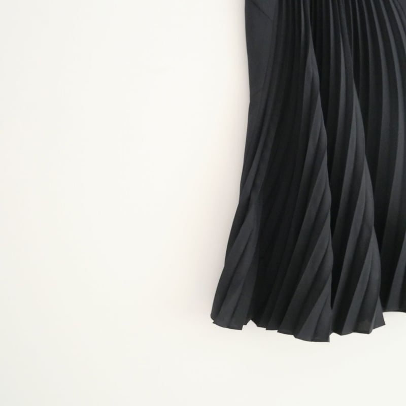 2021 / Mame Kurogouchi / Curved Pleated Skirt /