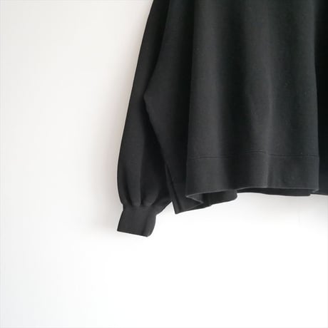 2024SS / 未使用 / ARGUE / AMERICAN VINTAGE DRY PULLOVER / AR24SS-AP010 / 2511-0747