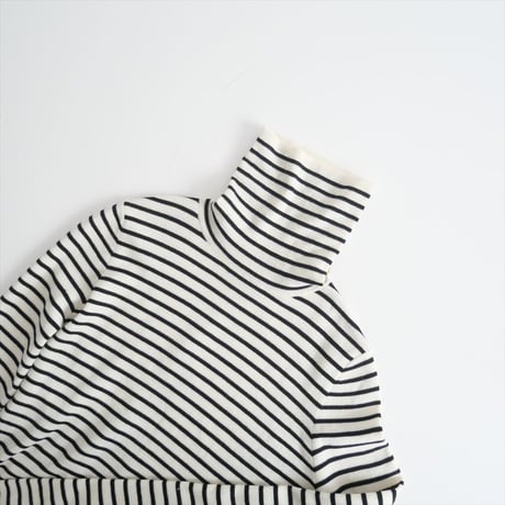 2022AW / L'Appartement / Border Turtleneck Knit / 22080560203530 / 2403-0167