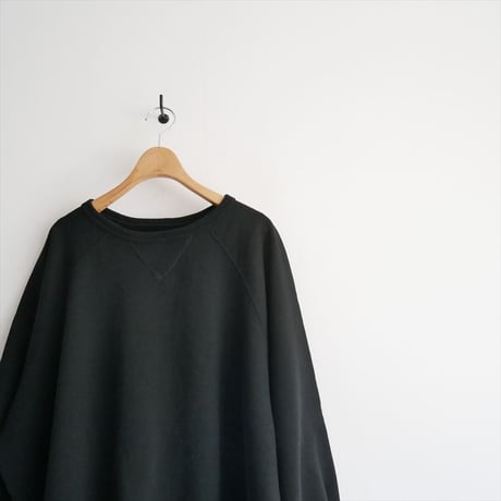 2024SS / 未使用 / ARGUE / AMERICAN VINTAGE DRY PULLOVER / AR24SS-AP010 / 2511-0747
