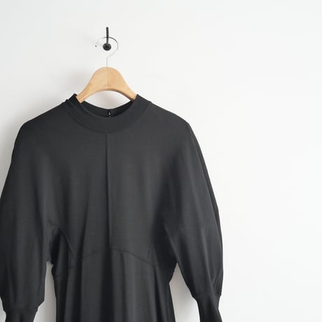 2022SS / Mame Kurogouchi / Classic Cotton Dress / MM22PS-JS28 / 2402-0342