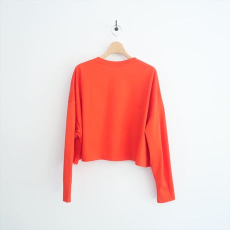 2024AW・人気完売品 / LOHEN / Voxy line cropped T shirt / LH24A-GU076 / 2508-0864