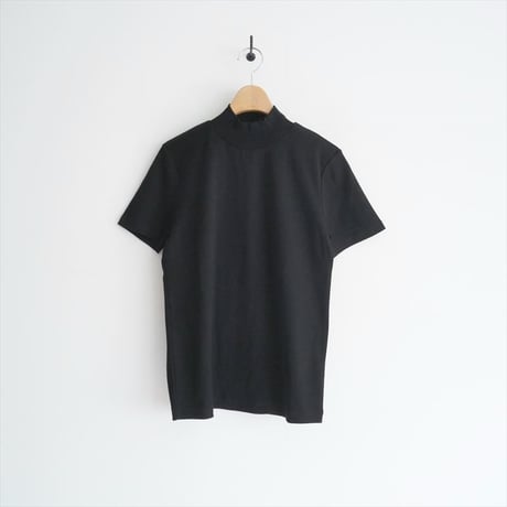 2022SS / 未使用 / ENFOLD / ギザフライススタンドネックコンパクト T SHIRT / 300FS180-1030 / 2505-0850