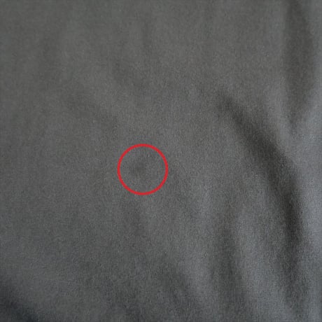 ENFOLD / CURVE LAYERED-HEM T-SHIRT / 300HA280-2800 / 2504-0625