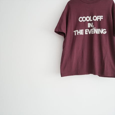 2025・人気完売品 L'Appartement別注 AMERICANA / Graphic T-shirt / 250705700003030 2603-0317