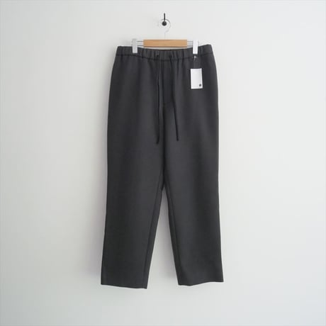 2023AW / ATON / SUPER 160S DOUBLE SAXONY EASY PANTS / PRAGSW0903 / 2503-0039