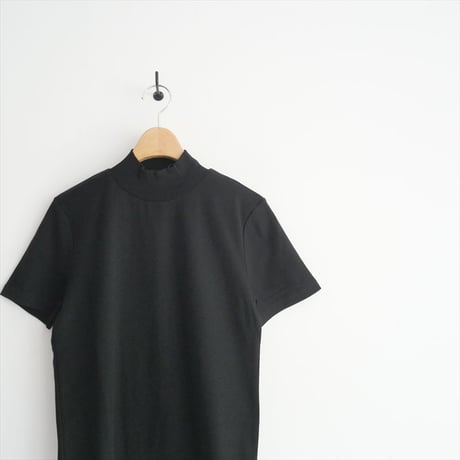2022SS / 未使用 / ENFOLD / ギザフライススタンドネックコンパクト T SHIRT / 300FS180-1030 / 2505-0850