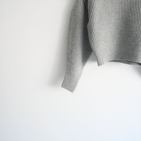 2022AW / 未使用 / LOHEN / レイヤードスリーブニット / LH22A-KN056 / 2501-2101