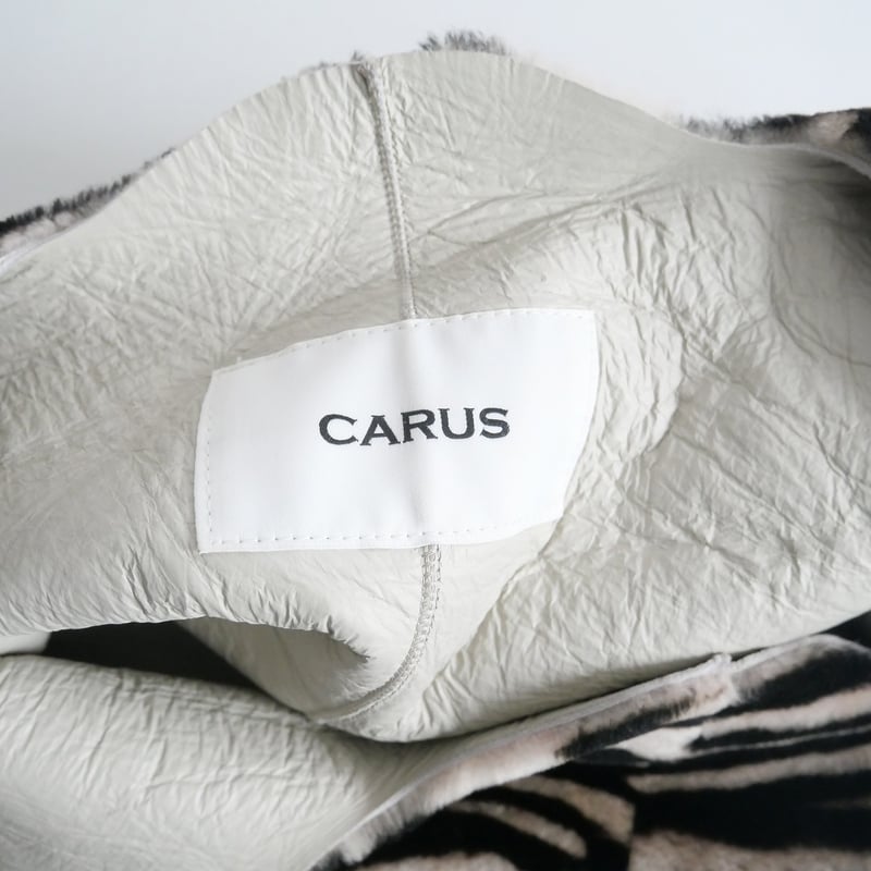 2021AW / L'Appartement購入品 / CARUS / ZEBRA BAG /