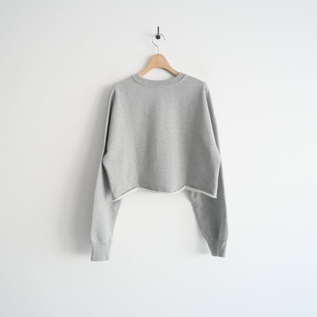 2023 / DEUXIEME CLASSE / Cropped スウェット プルオーバー / 23070500802030 / 2403-0390