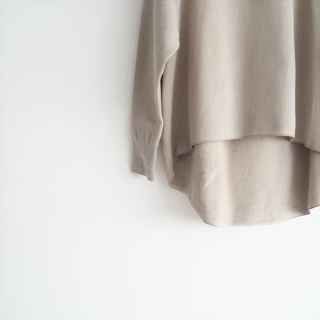 2021AW / DEUXIEME CLASSE別注 / AMERICANA / フーディー / 21070510003130 / 2404-0749