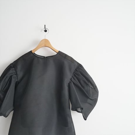 未使用 / cygne / バックパフスリーブシースルートップス Nadine / CY2422-01-084 / 2501-0643
