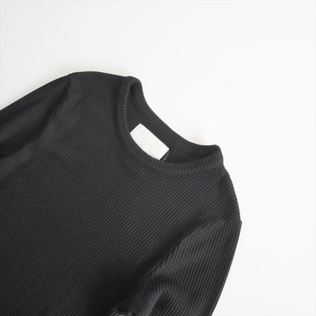 2024SS / L'Appartement購入品 / CITIZENS OF HUMANITY / BINA CREWNECK TOP / 24070570002610 / 2502-0493