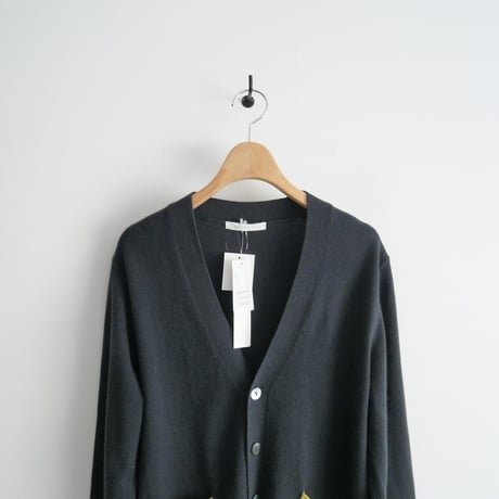 2023AW / カシミヤ100% / GALERIE VIE / スコットランドカシミヤ Vネックカーディガン / 23023402310 / 2312-0810