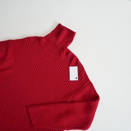 2023AW / Plage / wide rib turtle / 23080922728030 / 2507-1356