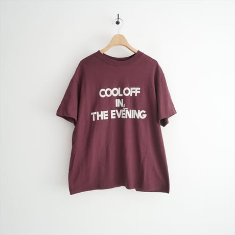 2025・人気完売品 L'Appartement別注 AMERICANA / Graphic T-shirt / 250705700003030 2603-0317