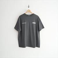 2025SS・人気完売品 / 未使用 / SALON adam et rope購入品 / Americana ラフィー丸胴 プリントT SBM55120 / 2605-1137