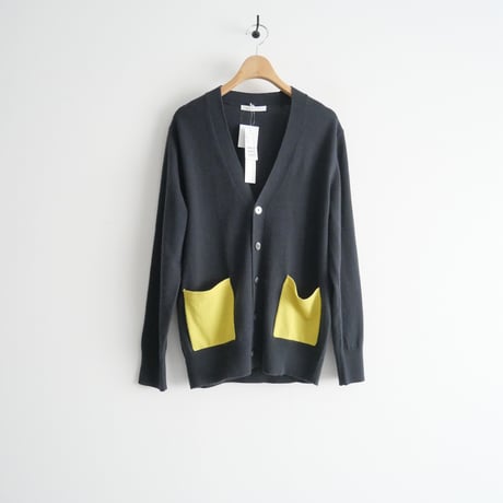 2023AW / カシミヤ100% / GALERIE VIE / スコットランドカシミヤ Vネックカーディガン / 23023402310 / 2312-0810