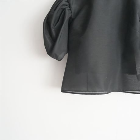 未使用 / cygne / バックパフスリーブシースルートップス Nadine / CY2422-01-084 / 2501-0643