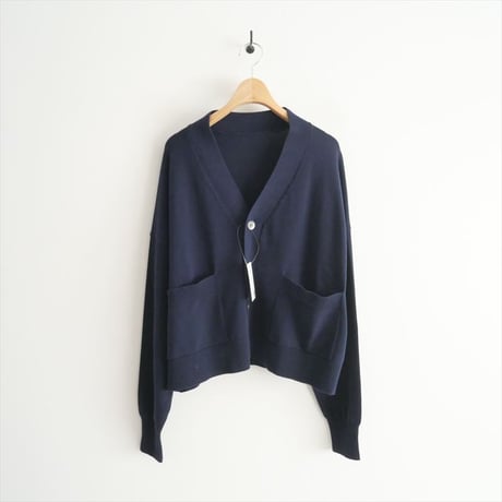 2023 / journal standard luxe / ドライテンジク Vネックカーディガン / 23080440001010 / 2405-0942