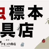昆虫標本道具店 byカモシカ商店