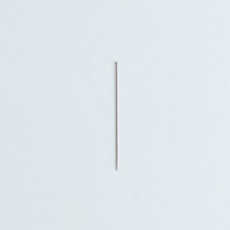 有頭志賀昆虫針4号（100本入り） | 昆虫標本道具店 byカモシカ商店
