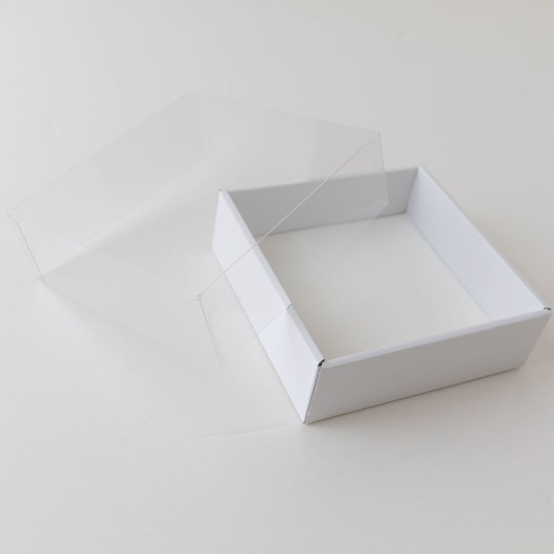【コエポン】お取り置き品 昆虫標本 Amazon.co.jp: MegaBox 樹脂標本入り昆虫 12ピース コレクション