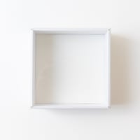おてがる標本箱（紙製）