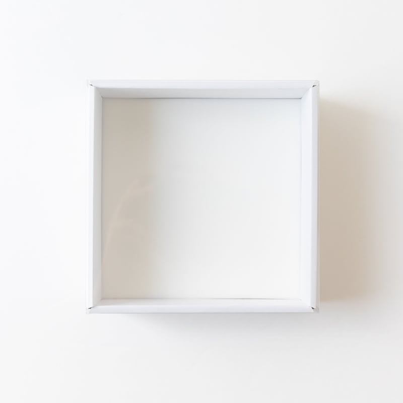 カキカモルフォ 標本 専門的な箱 カキカモルフォ 標本 専門的な箱