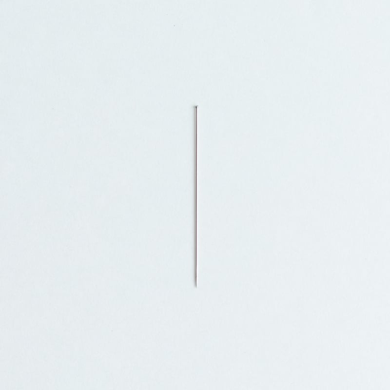 有頭志賀昆虫針2号（100本入り） | 昆虫標本道具店 byカモシカ商店