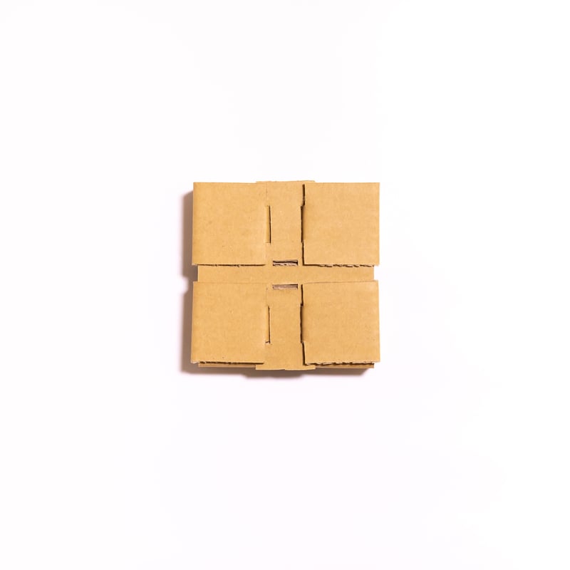 がっちりダンボール展翅板（小）10個セット | 昆虫標本道具店 by