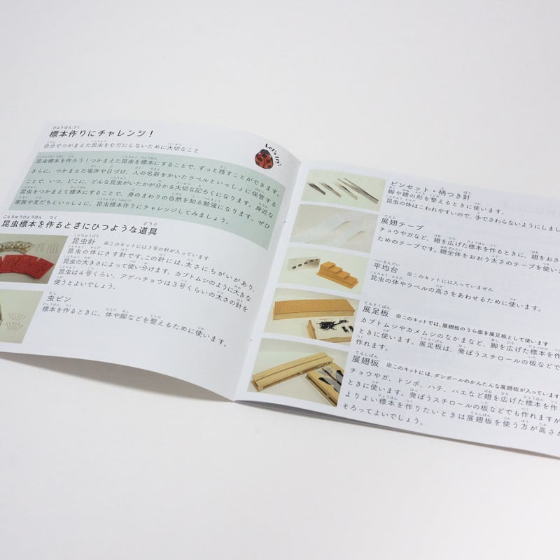 昆虫標本 中型ドイツ箱 展翅テープ・Insect pins・ラベル・殺虫瓶おまけ 昆虫標本 中型ドイツ箱 展翅テープ・Insect pins・ラベル・殺虫