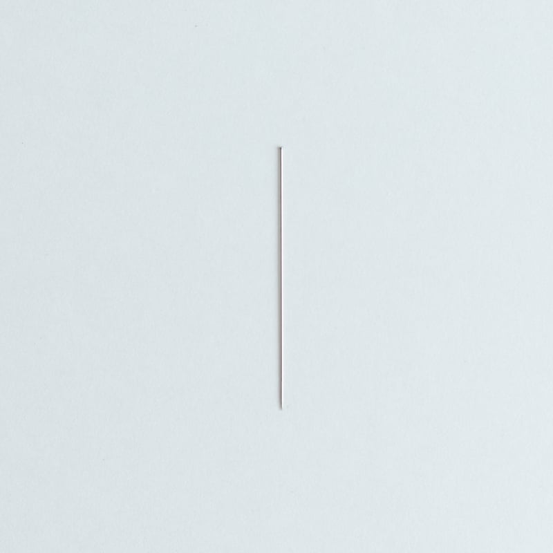 有頭志賀昆虫針1号（100本入り） | 昆虫標本道具店 byカモシカ商店